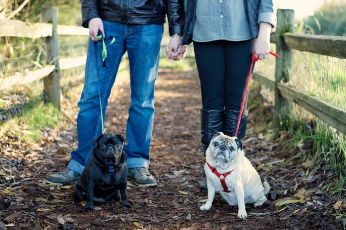 Engagement Photos with Pets: Share Your Tips and Pics!
