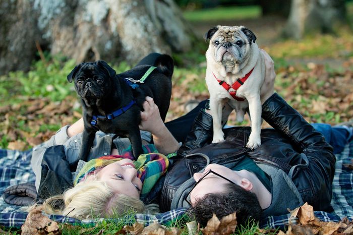 Engagement Photos with Pets: Share Your Tips and Pics!