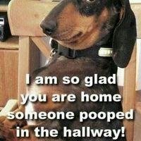 NWR - Spin off of Puppies post...