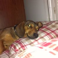 NWR - Spin off of Puppies post...