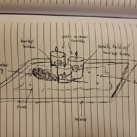 Centerpiece thoughts