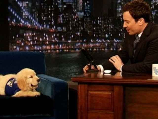 Friday man candy - now with puppies!