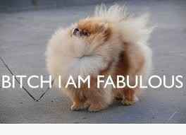 Dress Pics and Needing a little self confidence...