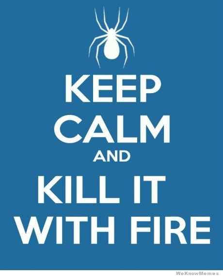 Once upon a time, there was this fly....