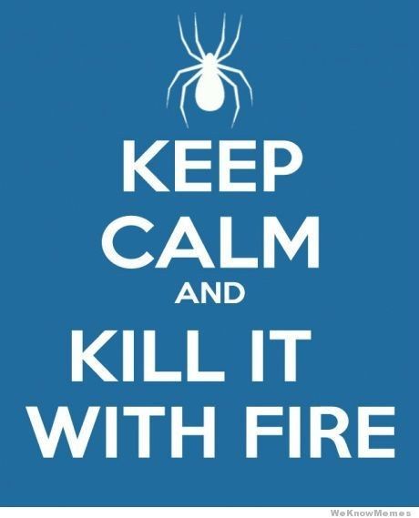 Once upon a time, there was this fly....