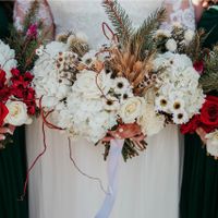 Professional pictures- Teasers - 3