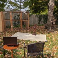 Who’s getting married this week? (10/26/20-11/1/20) - 1