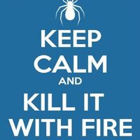 Once upon a time, there was this fly....