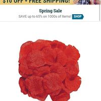 *CHANGED TOPIC* Ok no aisle runner -- what should flower girl throw?