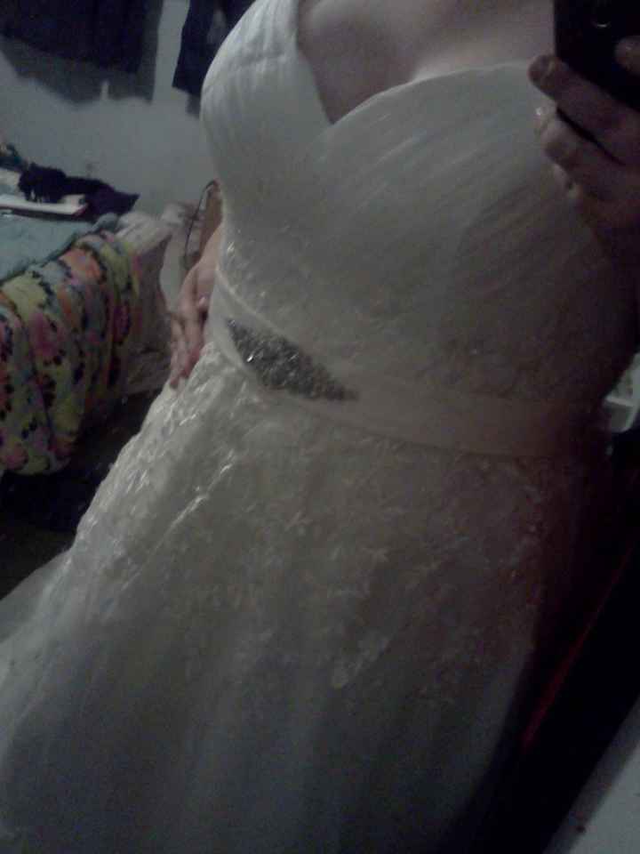 My dress came!! Pics!