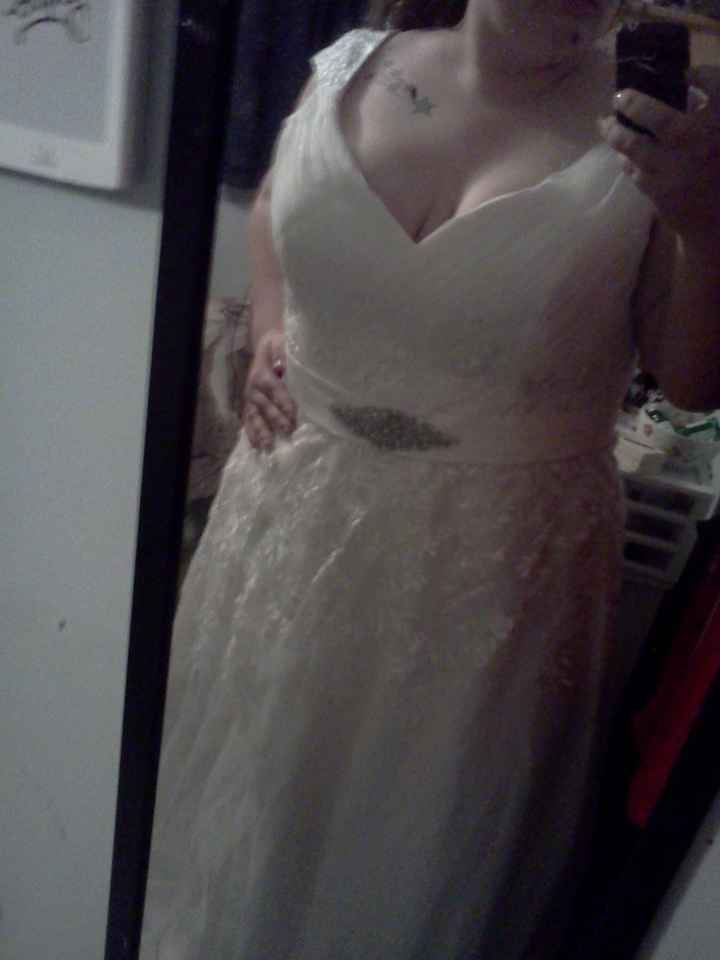 My dress came!! Pics!