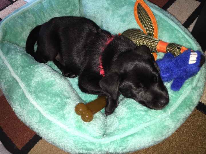 NWR: Meet the newest member of our family!