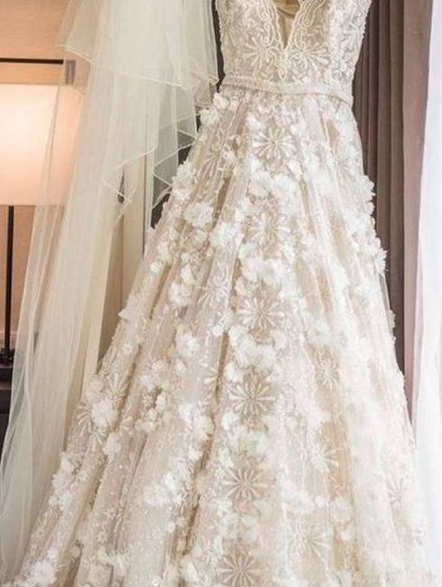 Wedding dress surprise. Ideas pls - 2