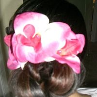 DIY Hair Trial...Help me pick please!