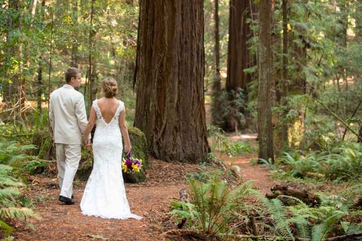 Low Budget Small Wedding by Redwood trees? - 1