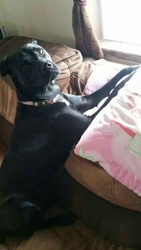 NWR: Show me your pups!