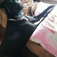 NWR: Show me your pups!