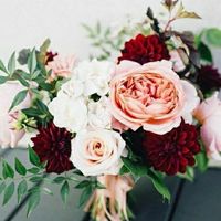 moh chose outside color theme - 2