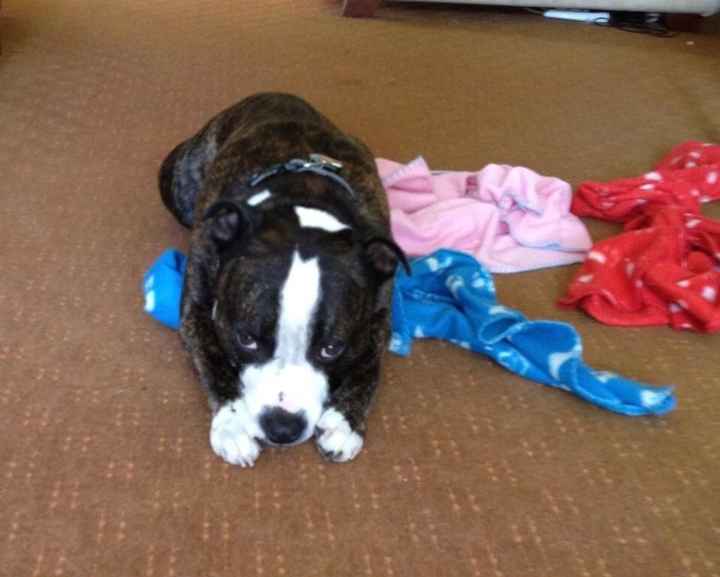 NWR - Furbaby Friday