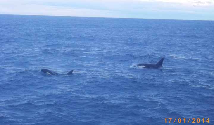 Anybody else get weird reactions about their honeymoon?