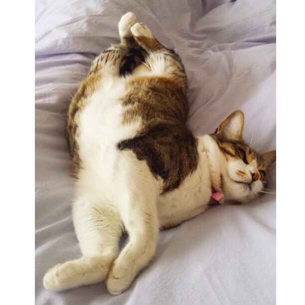 NWR Happy Fursday!!!