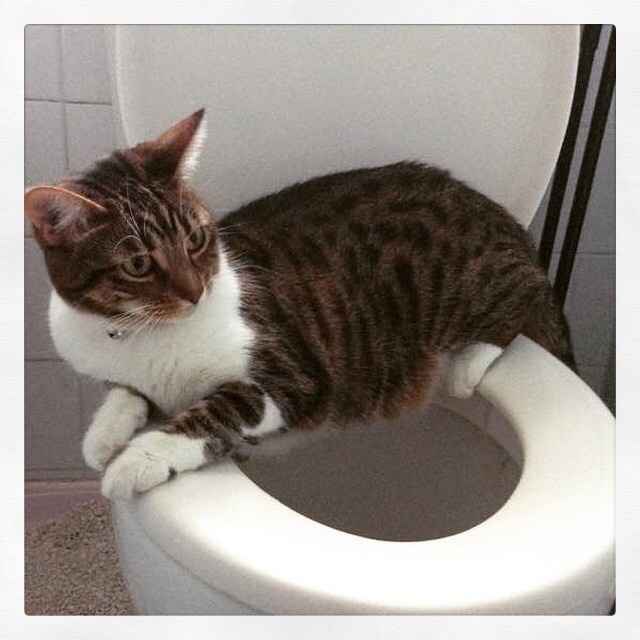 NWR Happy Fursday!!!