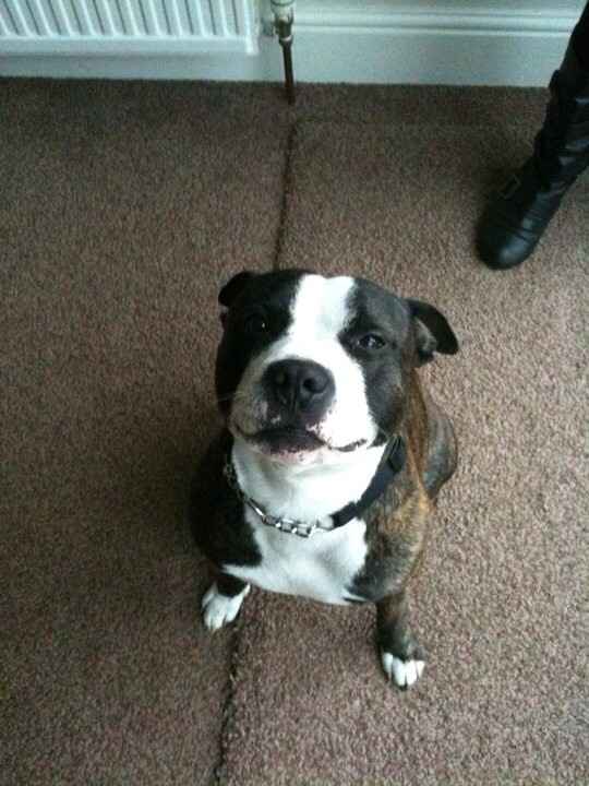 NWR Happy Fursday!!!