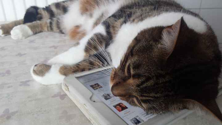 Definitely a sign I spend wayyy too much time on WW