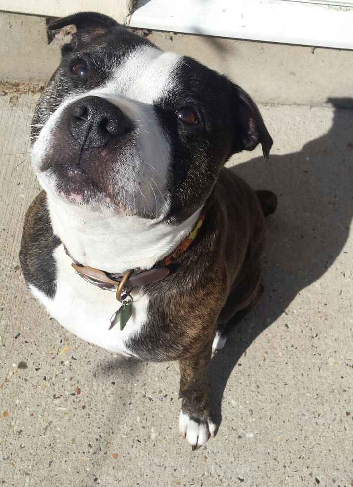 NWR: longest week ever. Need kitten pictures