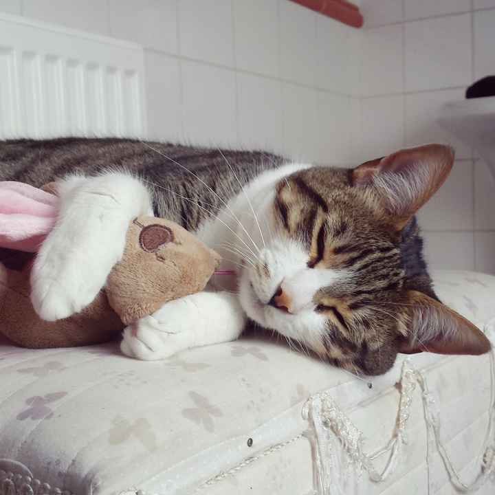 NWR: longest week ever. Need kitten pictures