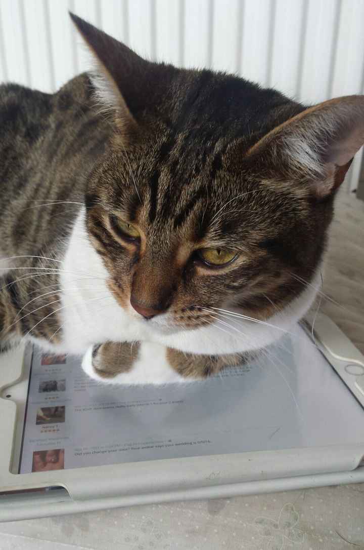 Definitely a sign I spend wayyy too much time on WW