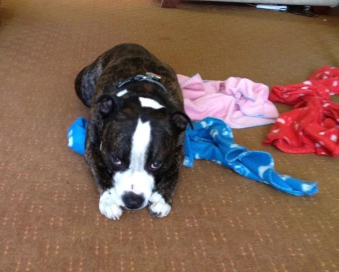 NWR - Furbaby Friday