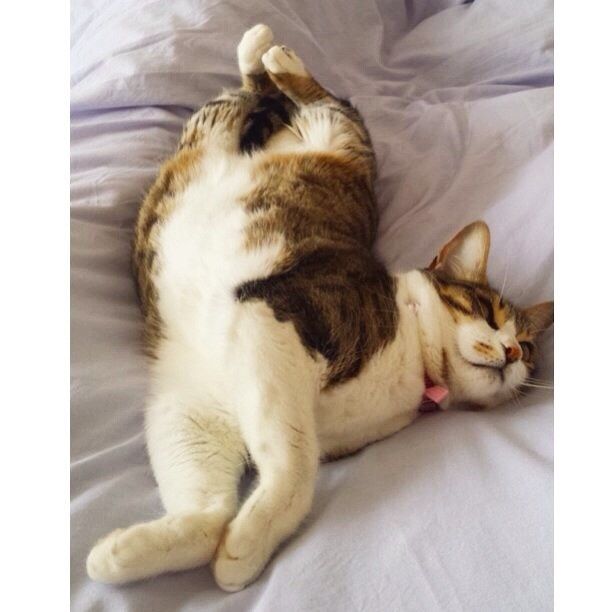 NWR Happy Fursday!!!