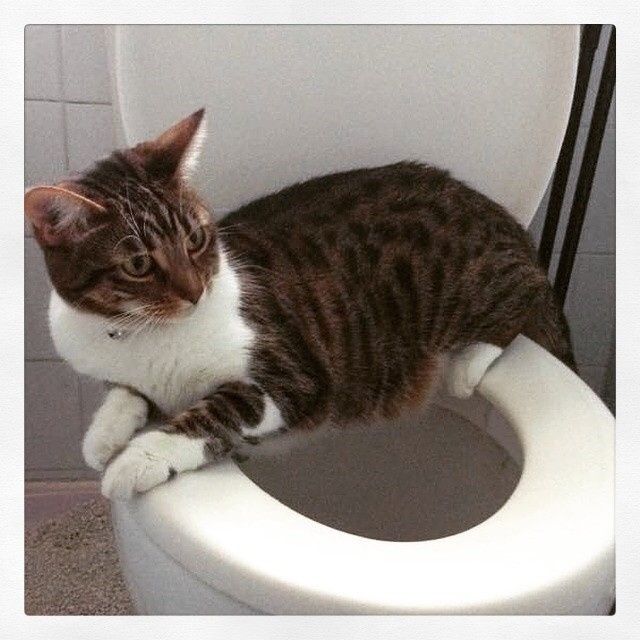 NWR Happy Fursday!!!
