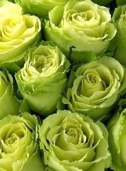 DIY Bouquets and Centerpieces in Primarily Green - Ideas/Thoughts?