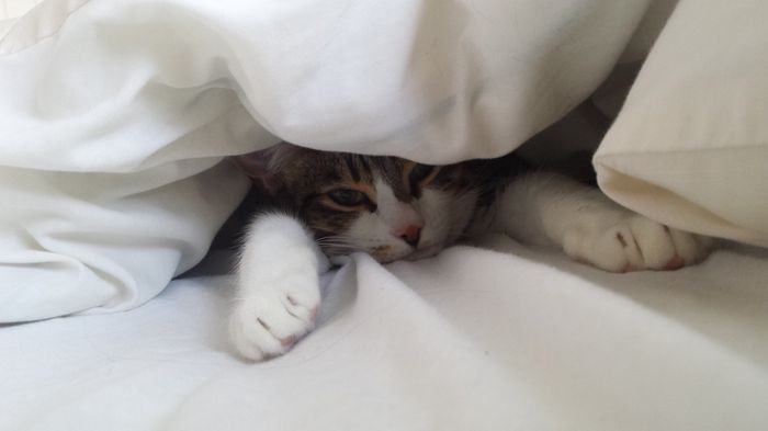 Cranky pants Monday