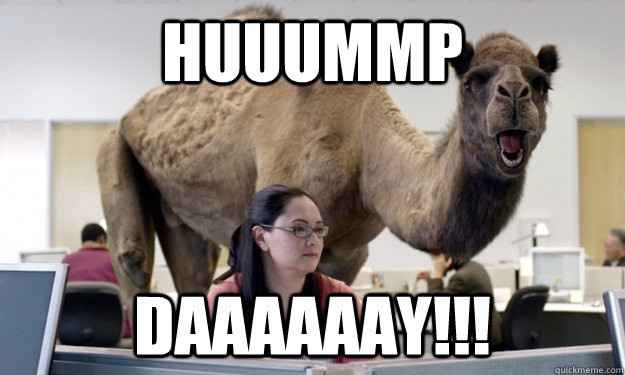 Guess what day it is?!