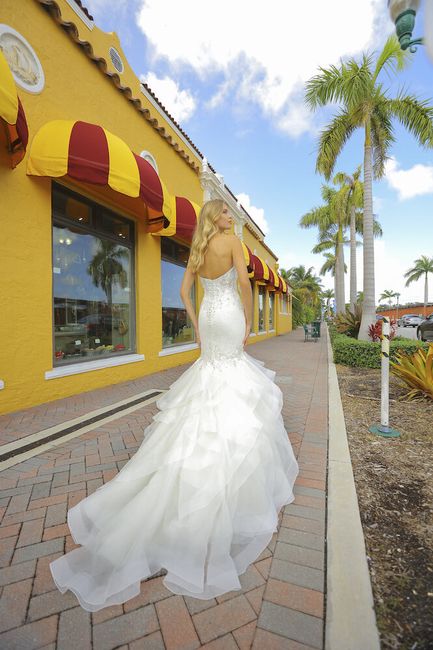 Need help deciding between two wedding dresses! 6