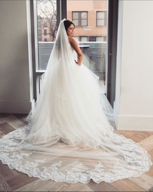 Hayley Paige “pepper” Gown 8