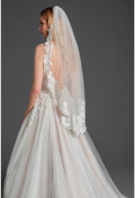 More veil questions! 2