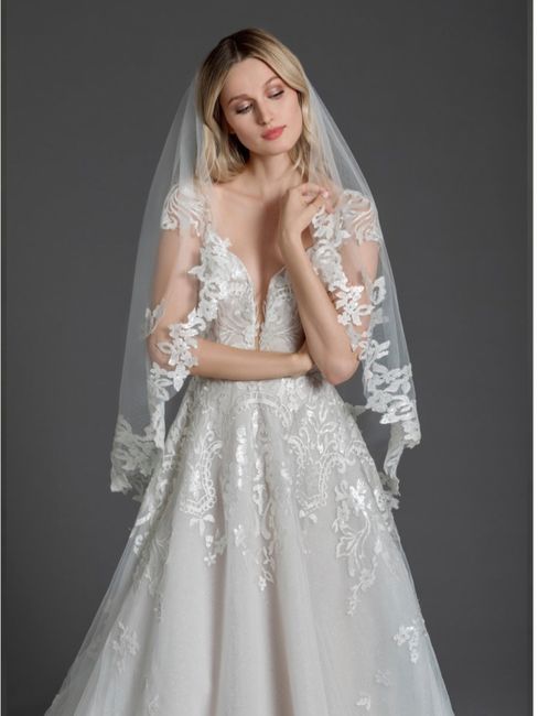 More veil questions! 3