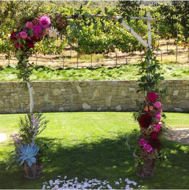 What about this birch arch? 1