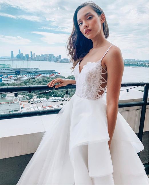 More leaks of Hp’s “byrdie” gown! - 1