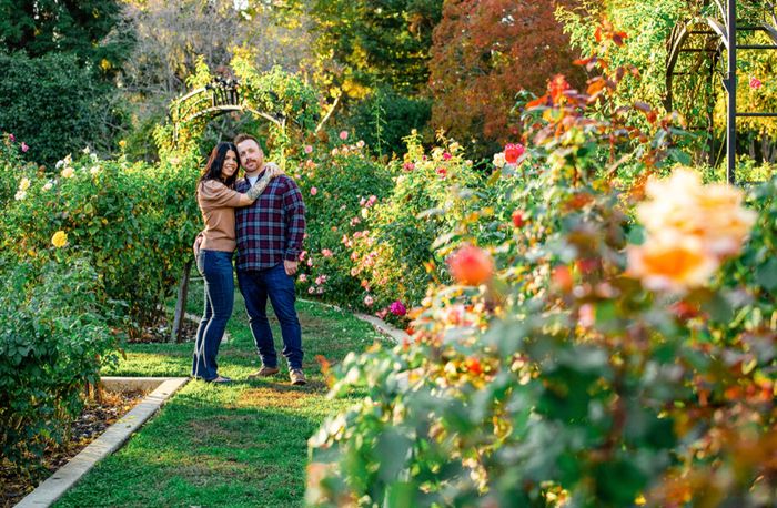 Engagement photos! 5