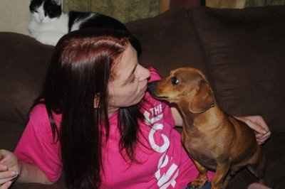 Doxie Mommy Roll Call!