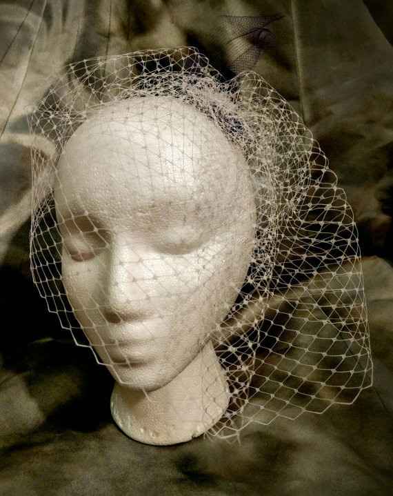Birdcage veil
