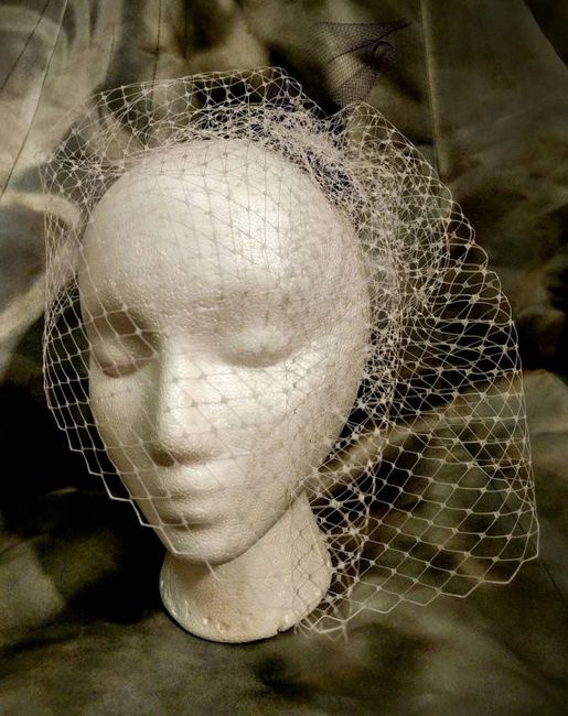 Birdcage veil