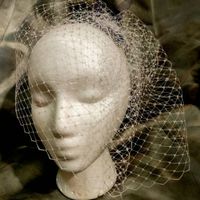 Birdcage veil