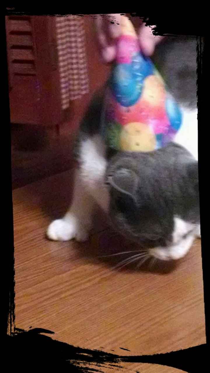 I LOVE my fur baby!