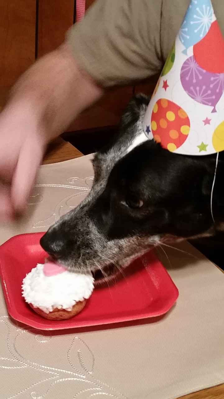I LOVE my fur baby!